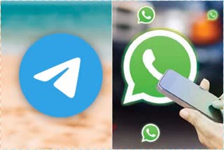 telegram whatsapp premium