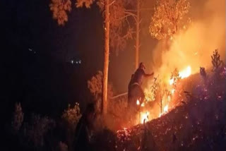 Champawat Forest Fire