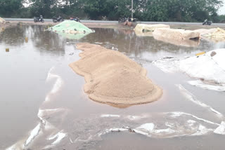 crop loss due to heavy rain in telangana