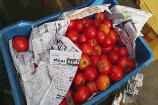 Increase vegetable prices in Junagadh : જૂનાગઢમાં ટમેટાંનો ભાવ કેમ થઇ ગયો બમણો જાણો