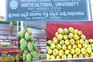 GOOD NEWS FOR MANGO LOVERS