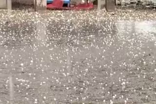 hailstorm in faridabad