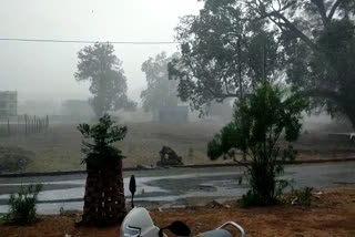 Rain in Balrampur