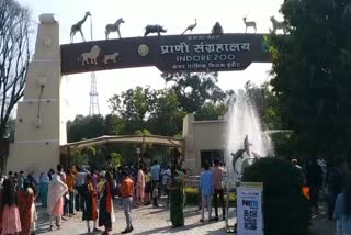 Indore ZOO