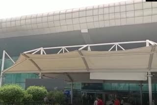 amritsar international airport passengers troubled by pigeon and mosquitoes