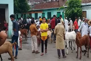 Mutton worth Rs 100 crore sold on Eid