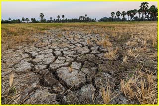 the-abrupt-change-in-climate-threats-farmers-of-north-east