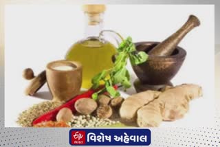 Ayurved Medicine Export Industry : વિશ્વમાં વધતી આયુર્વેદિક દવાઓની માંગ, ખાનગી કંપનીઓએ શરુ કર્યું આ કામ