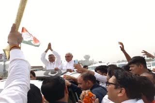 Haryana Congress New President Udaybhan Singh