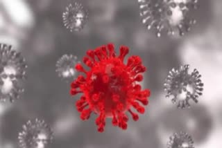 Coronavirus Update, India corona cases