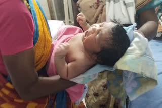 Baby Girl Was Born Weighing Five Kilograms