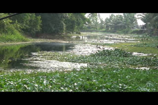 തോ​​ട്ടി​​ൽ രാ​​സ​​മാ​​ലി​​ന്യം ക​​ല​​ർ​​ത്തിയാതായി പരാതി  kottayam changanassery stream pollution  കുടിക്കാനും കാര്‍ഷികാവശ്യങ്ങള്‍ക്കുമായി ഉപയോഗിക്കുന്ന വെള്ളത്തില്‍ മാലിന്യം കലര്‍ന്നതോടെ ആ​​ശ​​ങ്ക​​യി​​ലായിരിക്കുകയാണ് സ​​മീ​​പ​​ത്തെ ക​​ർ​​ഷ​​ക​​ർ