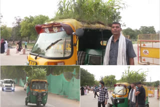 auto roof top garden