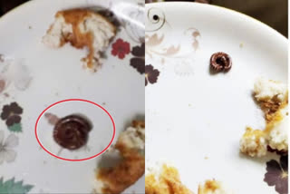 millipedes found in snacks  കാഞ്ഞങ്ങാട് ജില്ലാ ആശുപത്രിയിലെ ലഘുഭക്ഷണ സ്റ്റാളിലെ ഉഴുന്നുവടയിൽ 'തേരട്ട  ഉഴുന്നുവടയിൽ തേരട്ട  കാസർകോട് ജില്ലാ ആശുപത്രിയിലെ ക്യാന്‍റീനിലെ ഉഴുന്നുവടയിൽ തേരട്ടയെ കിട്ടി  കാസർകോട് ജില്ലാ ആശുപത്രിയിലെ ക്യാന്‍റീനിലെ ഭക്ഷണത്തിൽ നിന്ന് തേരട്ടയെ കിട്ടി  millipedes found in snacks at canteen of the Kanhangad District Hospital