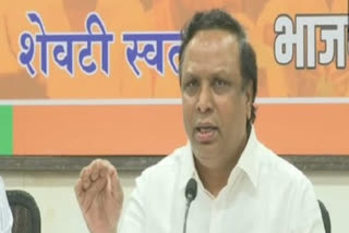 Ashish Shelar On Govt