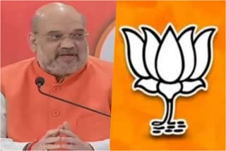 central-minister-amit-shah-gave-task-bjp-leaders-to-win-in-old-mysore-part