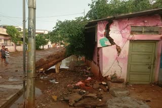 Tree fallen due to over rain in hubli