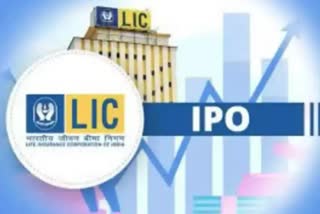 LIC in share market