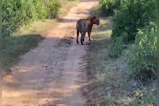 Sariska Tiger Reserve