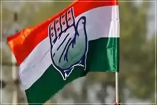 Congress Flag