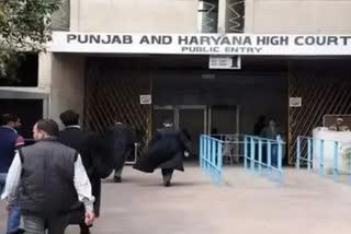 tejinder bagga arrest case  in punjab hand haryana high court