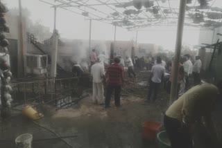 Fire in Dairy Farm in Bikaner
