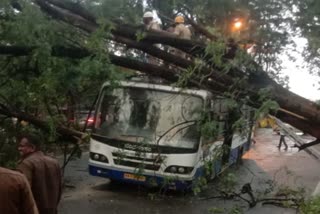 tree-fell-on-bmtc-bus-after-heavy-rain-in-bengaluru