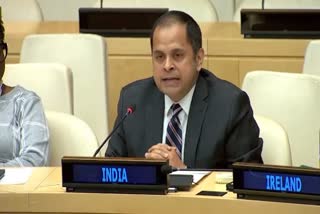 pratik mathur counsellor at india's permanent to un comments on ukraine war