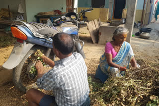 innovative farming ideas  Idea to Separate Peanuts from plants  andhra pradesh farmers  peanut farming  നിലക്കടല കൃഷി ആന്ധ്രാപ്രദേശ്  നൂതന കൃഷി മാർഗങ്ങൾ