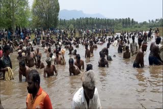 நத்தம் மீன்பிடி திருவிழா, மீன்களை அள்ளிச் சென்ற மக்கள்.