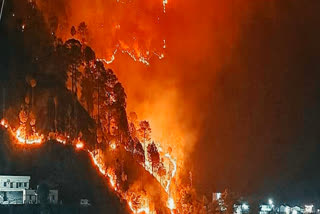 srinagar forest fire