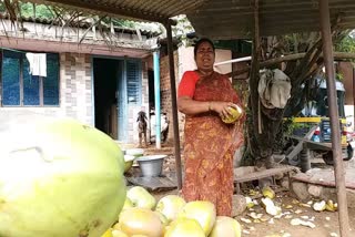 Tender coconut trader Shahida Banu