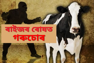 three cattle thief arrested in kokrajhar