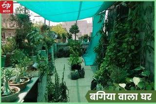 800 plants in house by using waste material