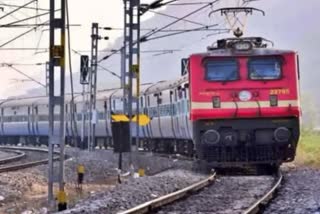 Bear found dead near railway line in Sawai Madhopur