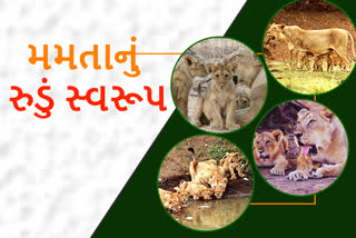 પ્રાણી જેટલી મમતા મનુષ્ય ક્યારેય ન રાખી શકે