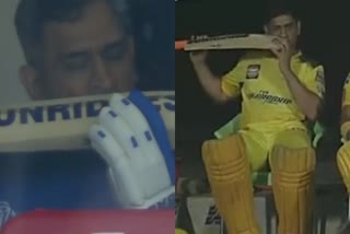 dhoni bites bat