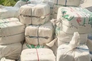 CoCops seize UP bound marijuana consignment in Hyderabadps seize UP-bound marijuana consignment worth Rs 2 crore in Hyderabad