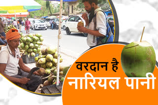 Demand for coconut water increased due to scorching heat in ranchi