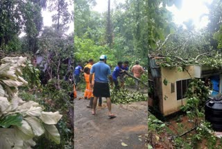 ശക്തമായ കാറ്റിൽ കോട്ടയം വാഴൂരിൽ കനത്ത നാശനഷ്ടം  ശക്തമായ കാറ്റിൽ കനത്ത നാശനഷ്ടം  വാഴൂരില്‍ ഓഡിറ്റോറിയത്തിന്‍റെ മേല്‍കൂര പറന്ന് പോയി  ശക്തമായ കാറ്റില്‍ നാശനഷ്ടം  ഫയര്‍ഫോഴ്‌സ്  Heavy winds lashed Vazhoor  Heavy winds causing severe damage