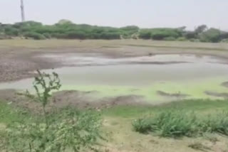 Drought like situation in Mewat