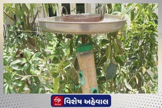 Research on Sparrow : ચકલીમાં વાઇરસ ખેંચવાની ક્ષમતા હોય છે!