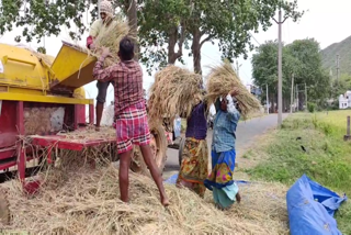 ବାତ୍ୟା ପ୍ରଭବରେ ବର୍ଷା ପୂର୍ବାନୁମାନ: ଚିନ୍ତାରେ ଚାଷୀକୂଳ