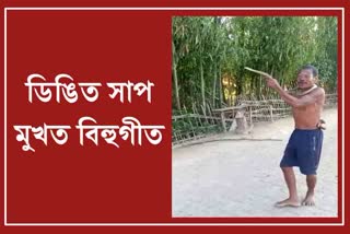 Man dances bihu with snake wrapped around his neck