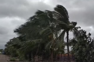 Heavy rainfall, strong winds lash parts of Andhra Pradesh as Cyclone Asani intensifies