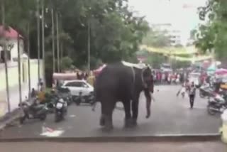 elephant-run-amok-thrissur-pooram