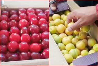 Shimla fruit market