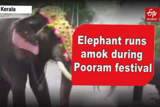 Elephant runs amok during Thrissur Pooram