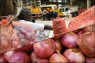 onion price down