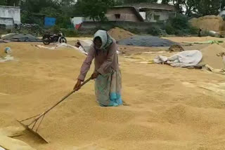 Paddy procurement in khammam